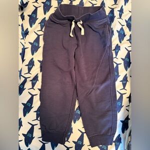 Hanna Andersson joggers